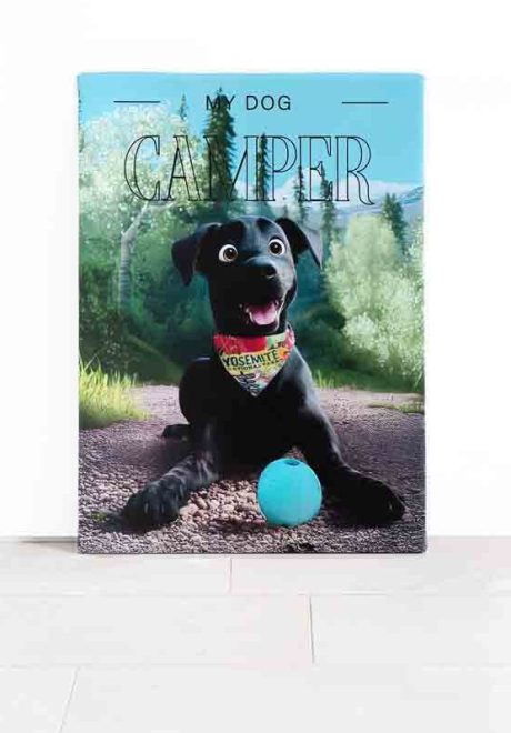 canvas-e1752721224605-