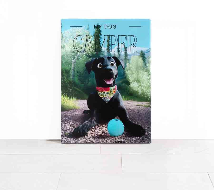 canvas1